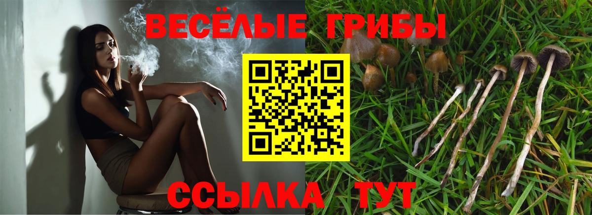 Гашиш Великий Устюг